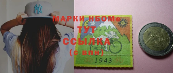 mix Богородицк