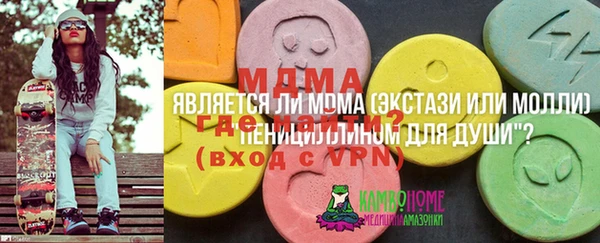 mix Богородицк