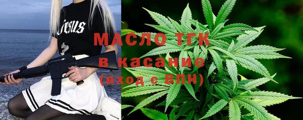 mix Богородицк