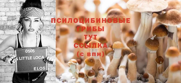 дмт Богородск