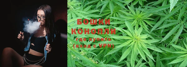 mix Богородицк